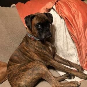 Meet your Posher, Pamela